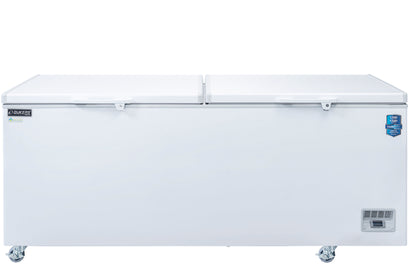 Solid Door Chest Freezer (20 cu ft)